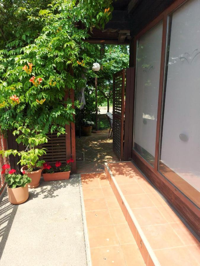 Eden Apartment Sveta Nedjelja  Εξωτερικό φωτογραφία