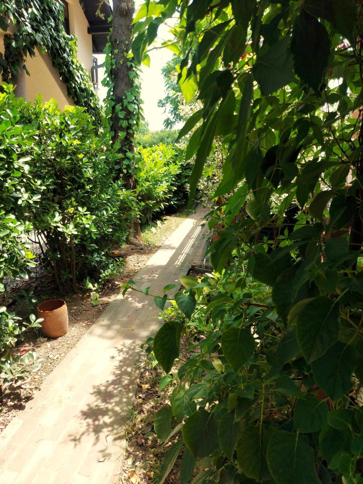Eden Apartment Sveta Nedjelja  Εξωτερικό φωτογραφία